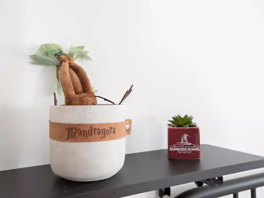 Immagine 25 di Appartamento in affitto  in Via Arpino59 a Roma