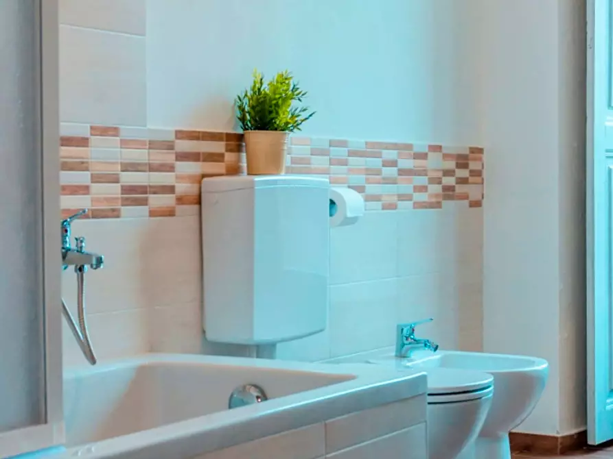 Immagine 18 di Camera in affitto  in Piazza Emanuele Filiberto a Torino