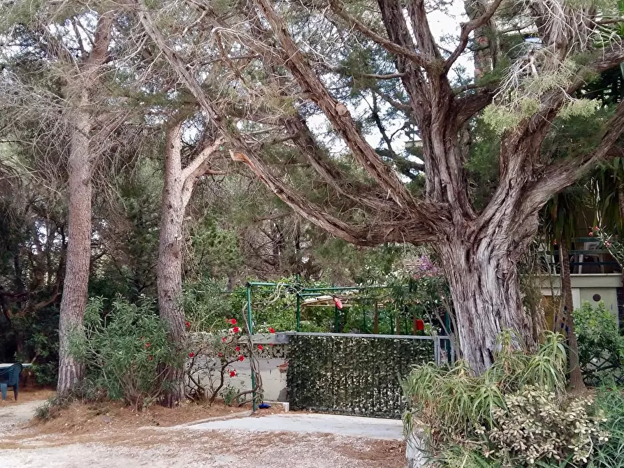 Immagine 16 di Appartamento in affitto  in Via dei Lecci10 a Dorgali