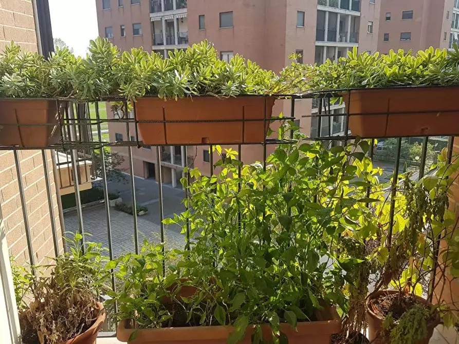 Immagine 16 di Appartamento in affitto  in Via Francesco Gonin25 A a Milano