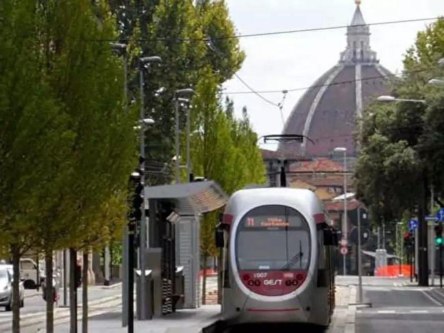 Immagine 24 di Camera in affitto  in via carissimi59 a Firenze