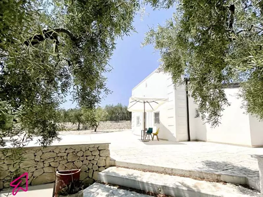 Immagine 21 di Appartamento in affitto  in Vico Macchia a Monte Sant'angelo