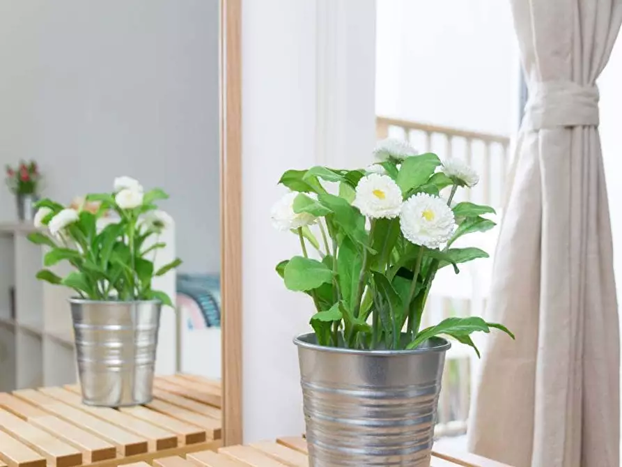 Immagine 3 di Camera in affitto  in Via Lepanto2 a Milano