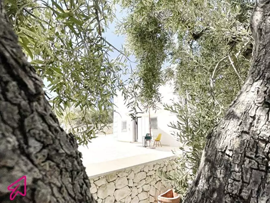 Immagine 20 di Appartamento in affitto  in Vico Macchia a Monte Sant'angelo