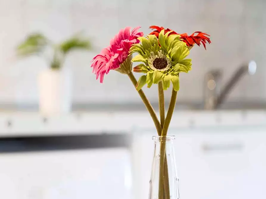 Immagine 18 di Camera in affitto  in Via Salvatore Barzilai15 a Milano