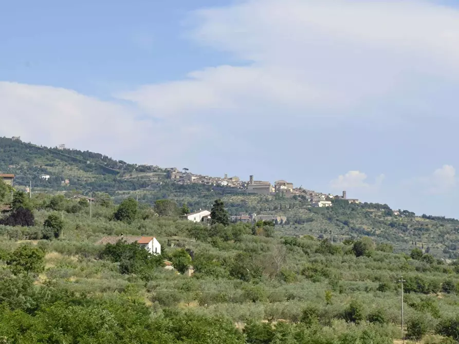 Immagine 38 di Appartamento in affitto  in C.s. Cegliolo10 a Cortona