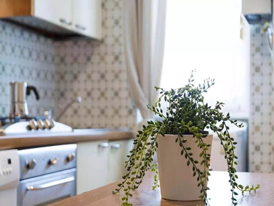 Immagine 31 di Camera in affitto  in Via Bergamo12 a Milano