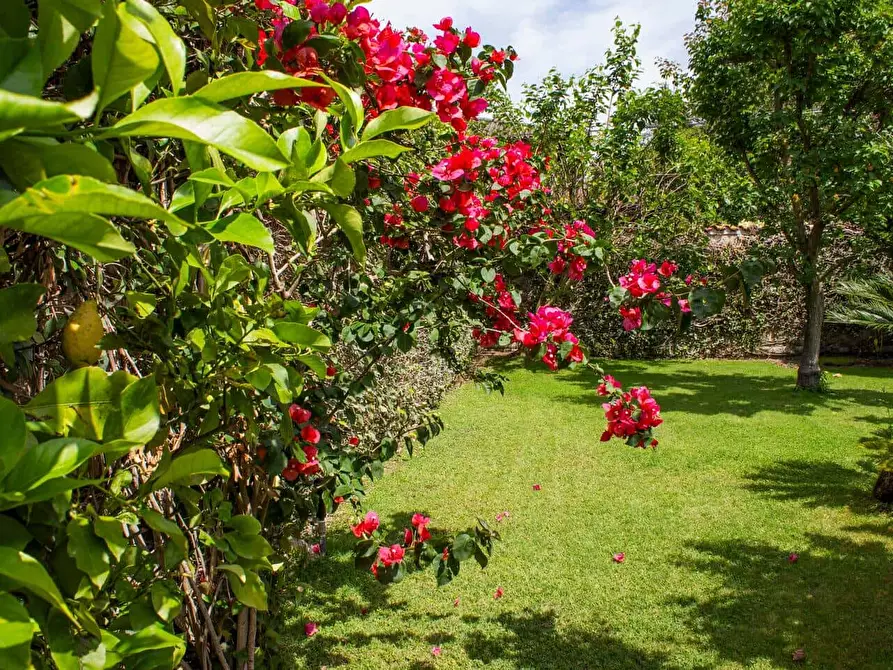 Immagine 44 di Appartamento in affitto  in Via Jacopo Melani7 a Roma