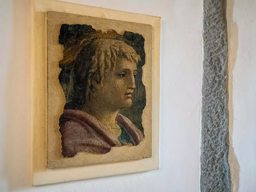 Immagine 21 di Appartamento in affitto  in Borgo San Frediano16 a Firenze