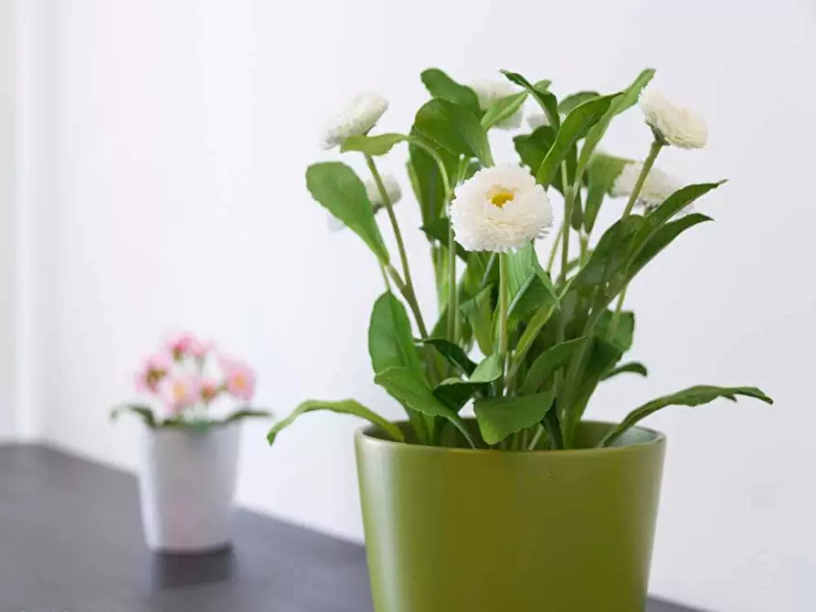 Immagine 8 di Camera in affitto  in Largo Cavalieri di Malta4 a Milano