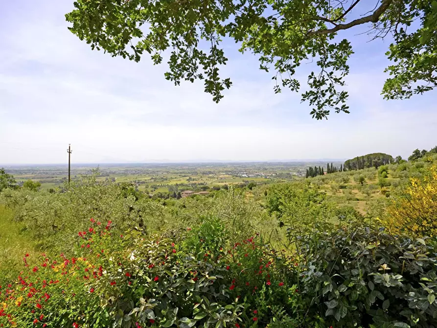 Immagine 14 di Appartamento in affitto  in Via del Palazzone a Cortona
