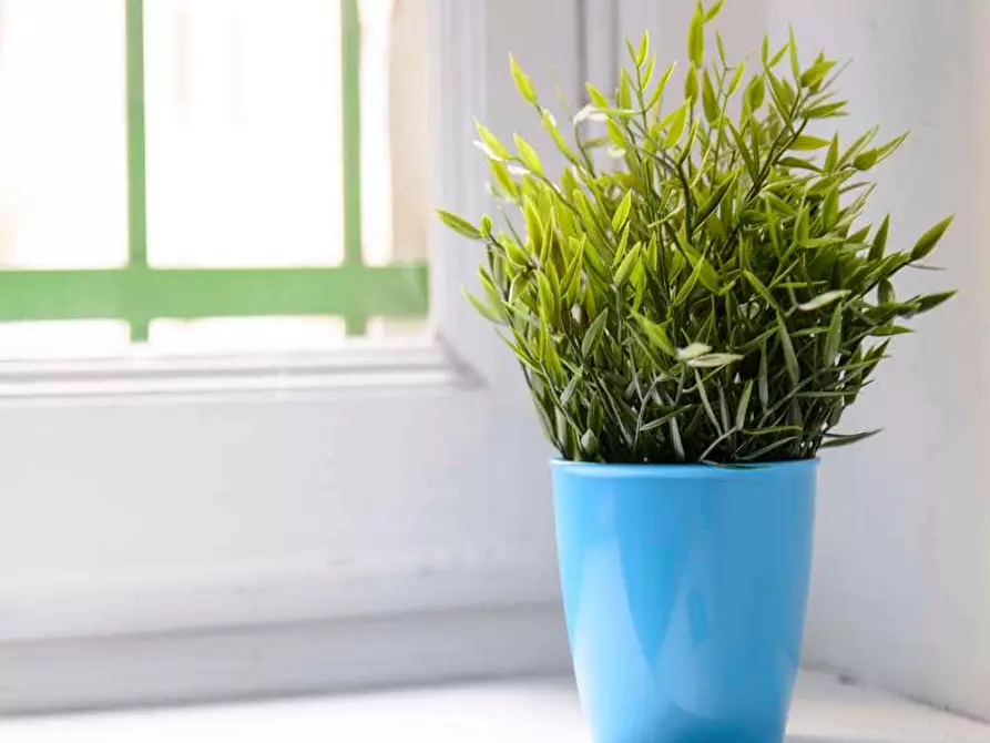 Immagine 4 di Camera in affitto  in Via Privata Procopio8 a Milano