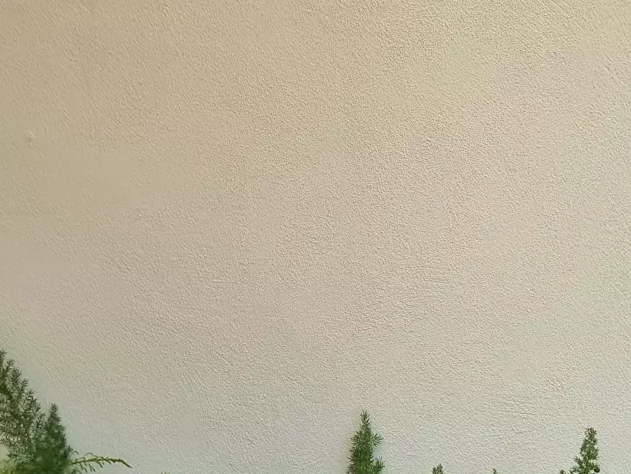 Immagine 42 di Camera in affitto  in Via dei Tribunali268 a Napoli