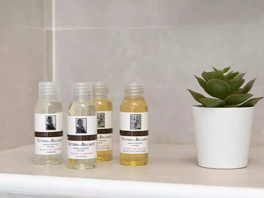 Immagine 18 di Appartamento in affitto  in Via Guglielmo Marconi65 a Bologna