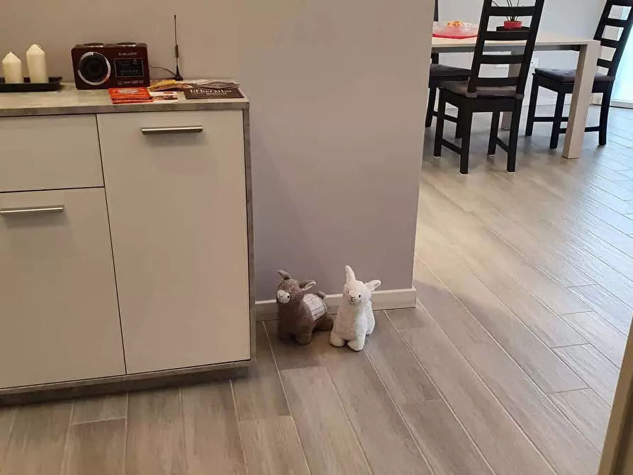 Immagine 29 di Appartamento in affitto  in Via Bartolino da Padova6 a Padova