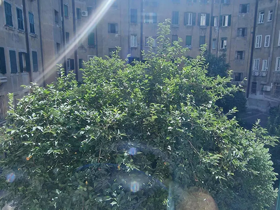 Immagine 4 di Camera in affitto  in Via Sabotino31 a Roma