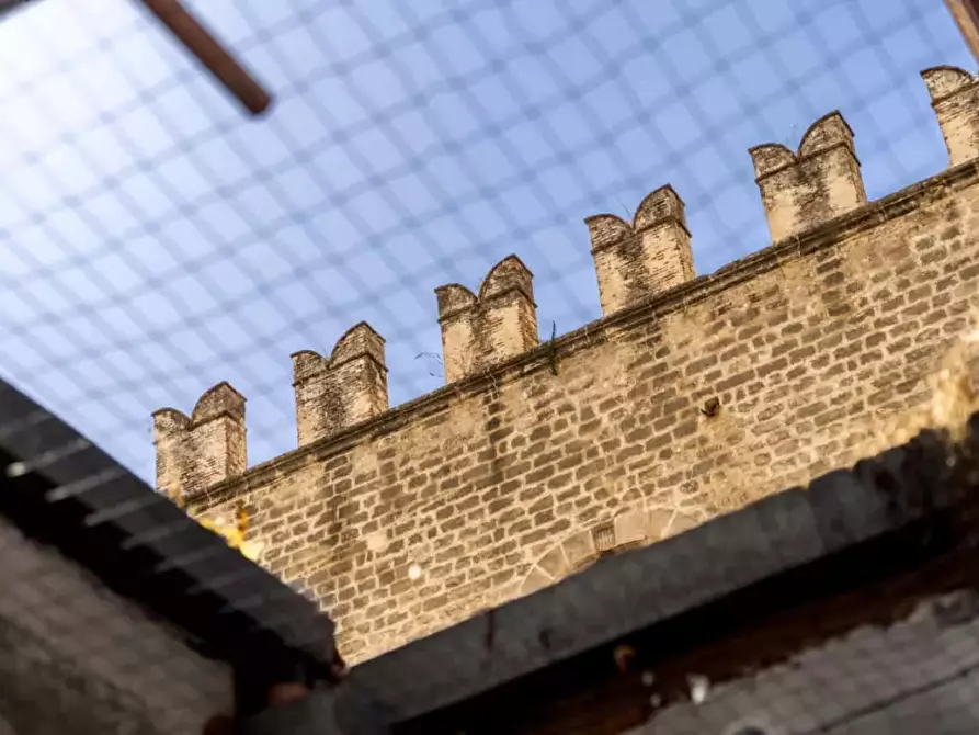 Immagine 12 di Appartamento in affitto  in Via Giuseppe Garibaldi47 a Palermo