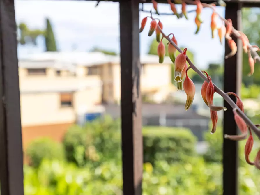Immagine 52 di Appartamento in affitto  in Via di Santa Maria Mediatrice20 a Roma