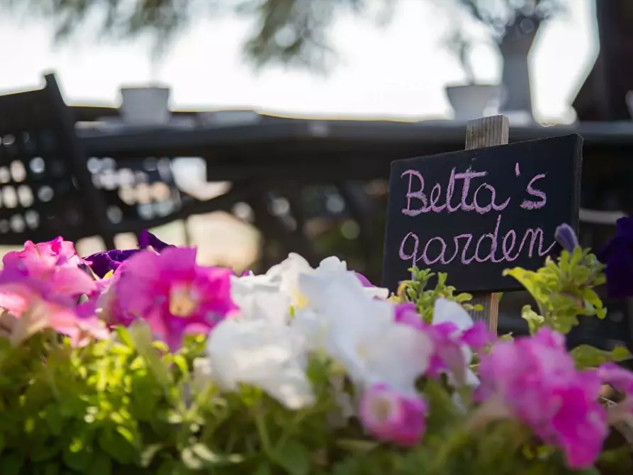 Immagine 21 di Appartamento in affitto  in Località Cinque Vie255 a Cortona