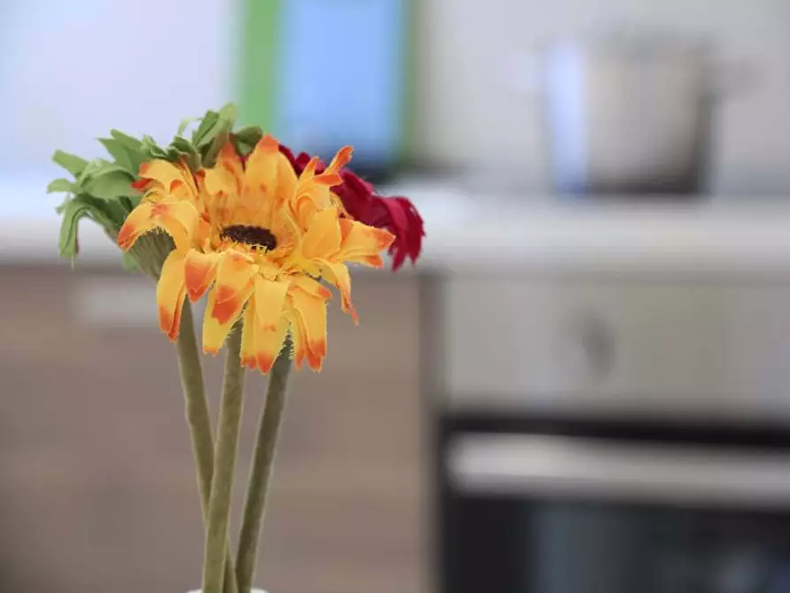 Immagine 13 di Camera in affitto  in Via Salvatore Barzilai14 a Milano