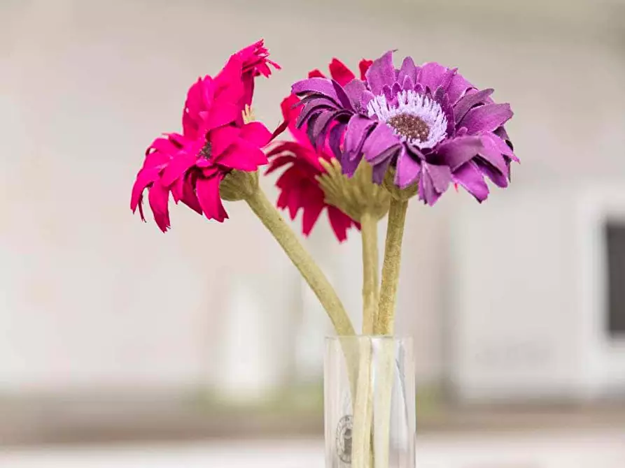 Immagine 8 di Camera in affitto  in Viale Carlo Espinasse12 a Milano