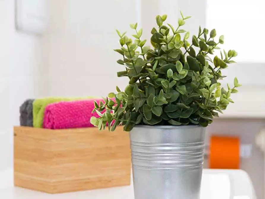 Immagine 17 di Camera in affitto  in Via Lepanto2 a Milano