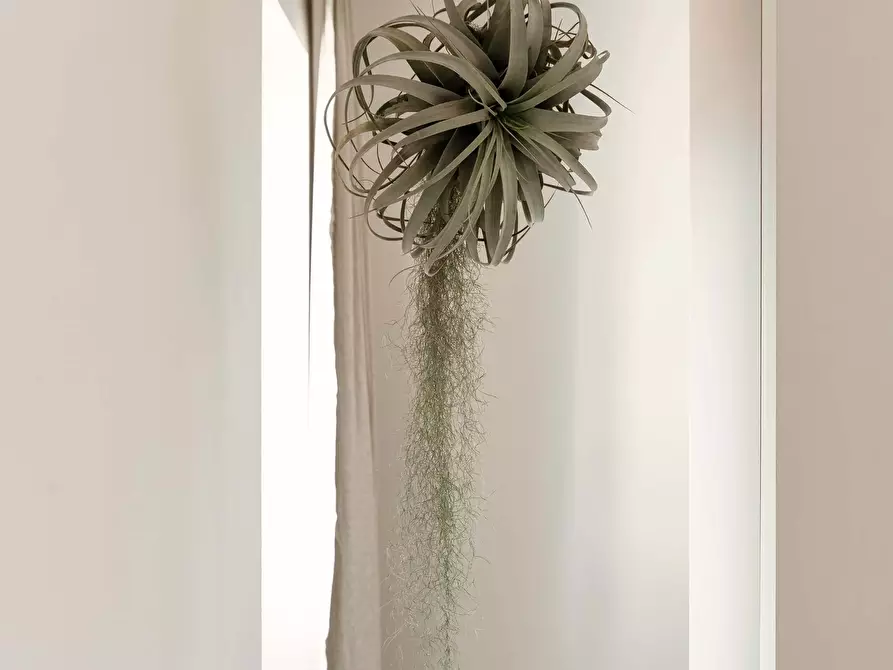 Immagine 15 di Appartamento in affitto  in Via Milano217 a Como