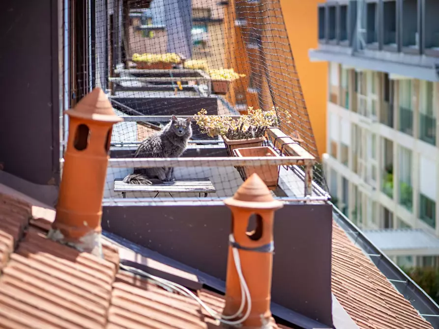 Immagine 20 di Appartamento in affitto  in Viale Umbria50 a Milano