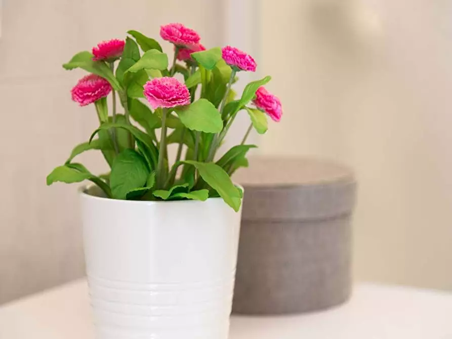 Immagine 41 di Camera in affitto  in Via Carlo Botta19 a Milano