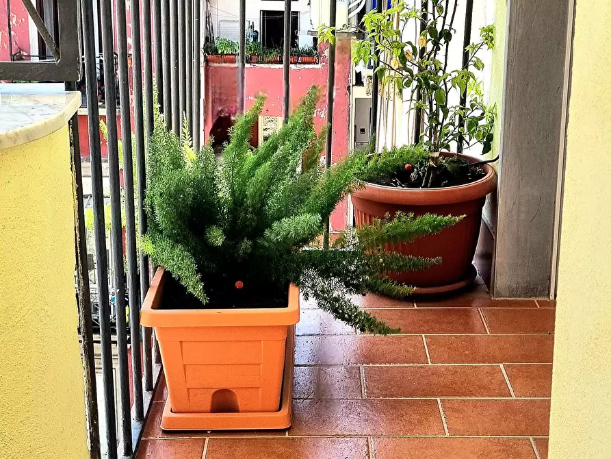 Immagine 22 di Camera in affitto  in Via dei Tribunali268 a Napoli