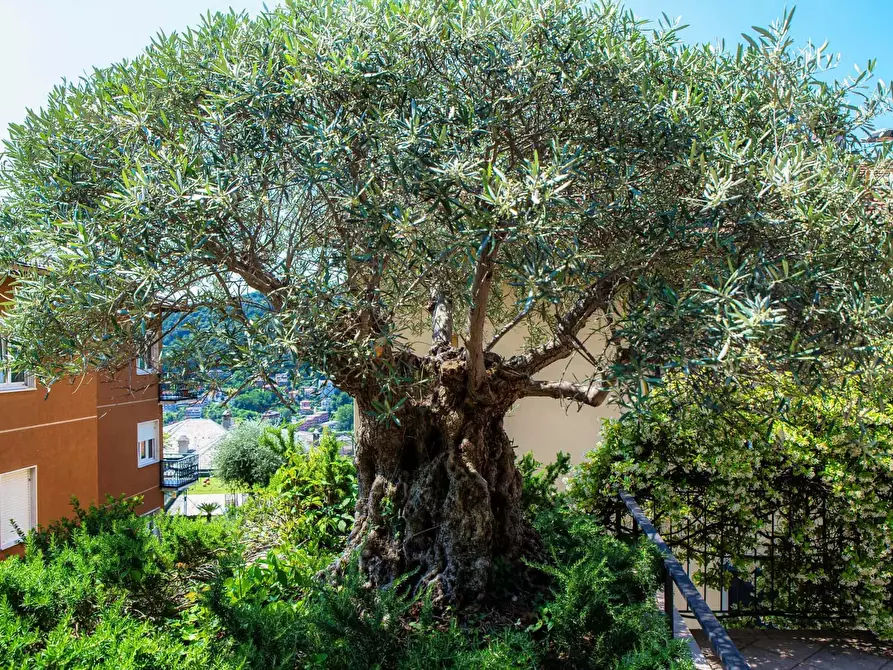 Immagine 37 di Appartamento in affitto  in Via Vittorio Emanuele II37 a Cernobbio