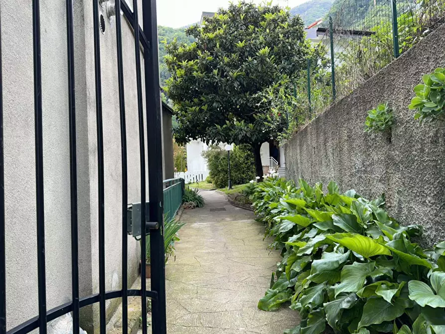 Immagine 16 di Appartamento in affitto  in Via Croce4 a Argegno