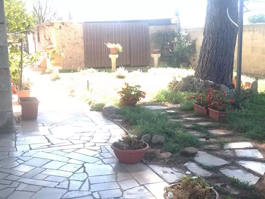 Immagine 4 di Appartamento in affitto  in SP129125 a Sava