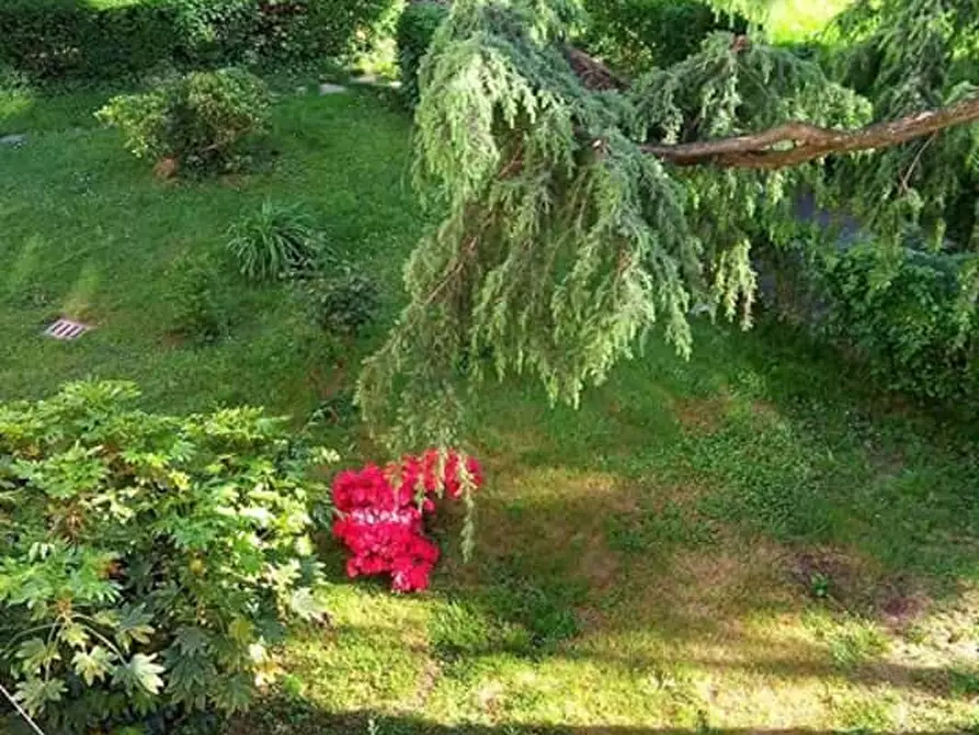 Immagine 14 di Camera in affitto  in Via Unità D'Italia34 a Novara