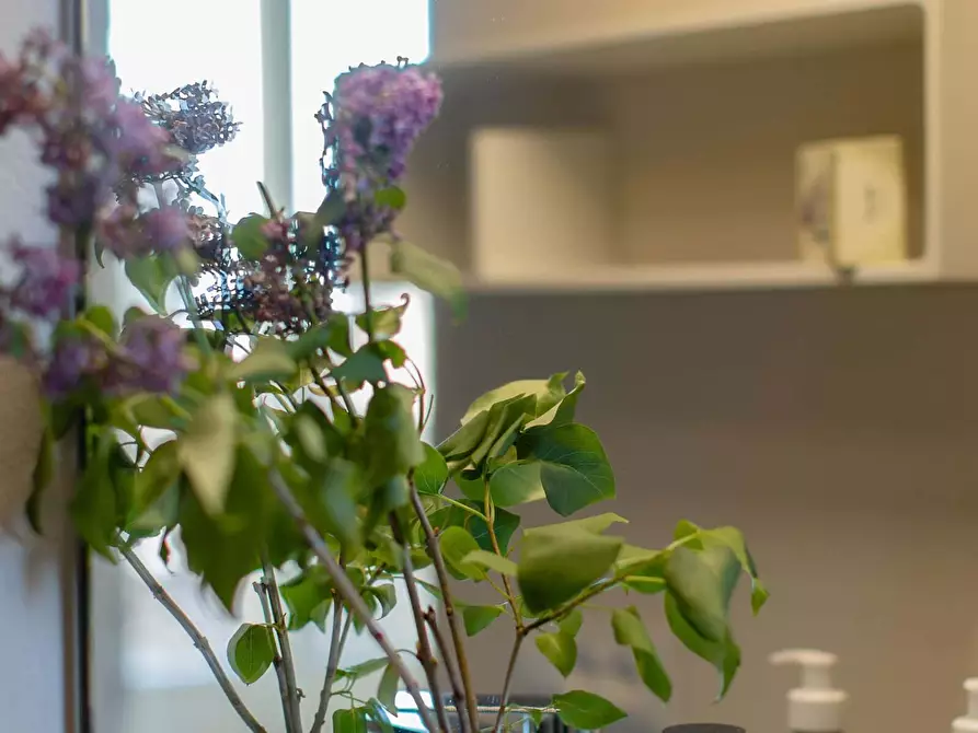 Immagine 37 di Appartamento in affitto  in Via Mazzuoli a Cortona