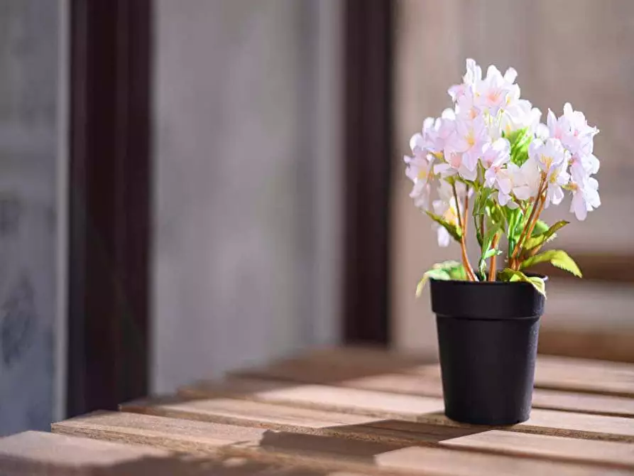 Immagine 9 di Camera in affitto  in Piazzetta Guastalla7 a Milano