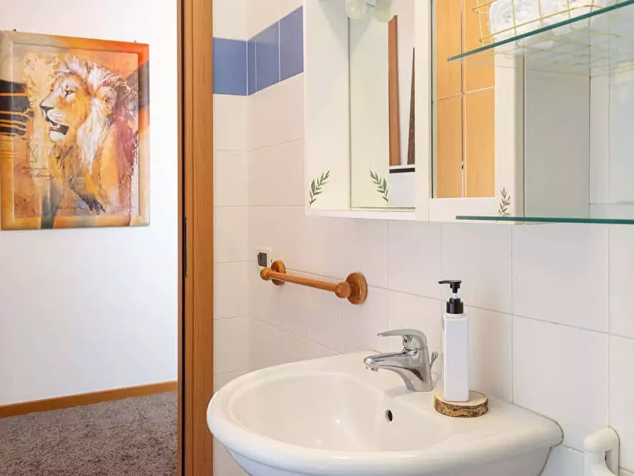 Immagine 12 di Appartamento in affitto  in Via Trento12 a Trieste