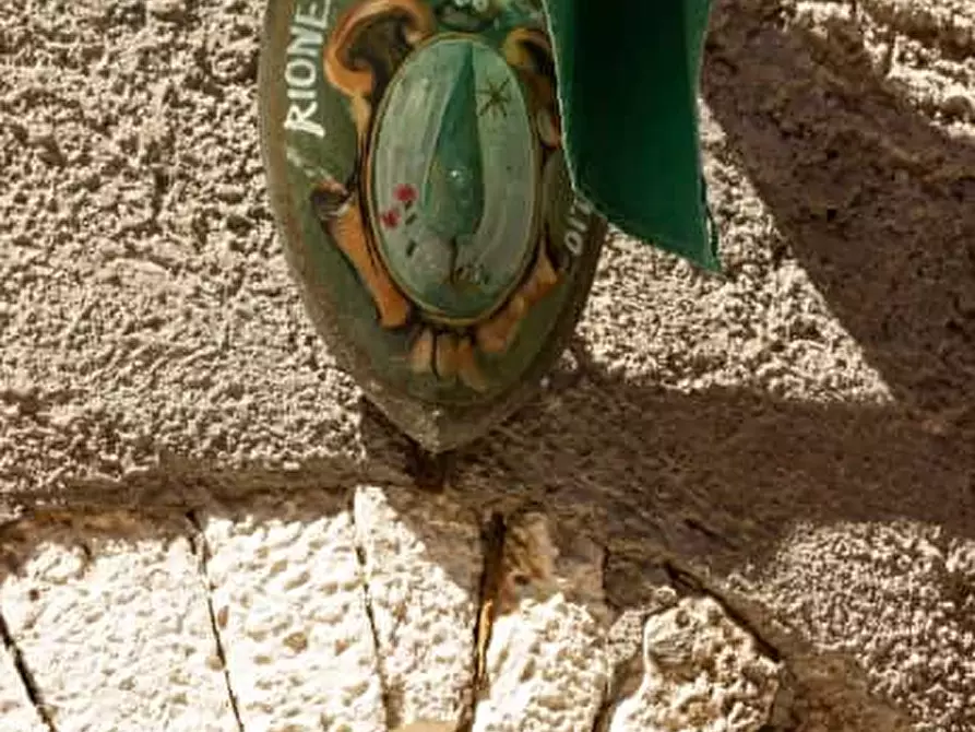 Immagine 11 di Appartamento in affitto  in Via Cavour81 a Carpineto Romano