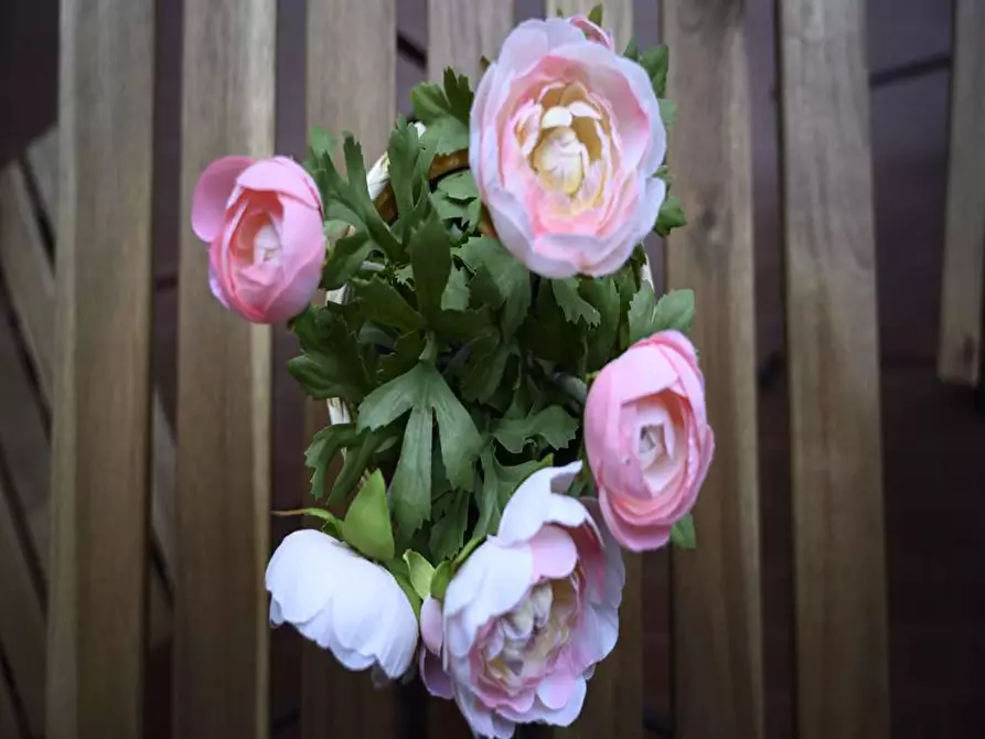 Immagine 2 di Camera in affitto  in Via Ippodromo9 a Milano