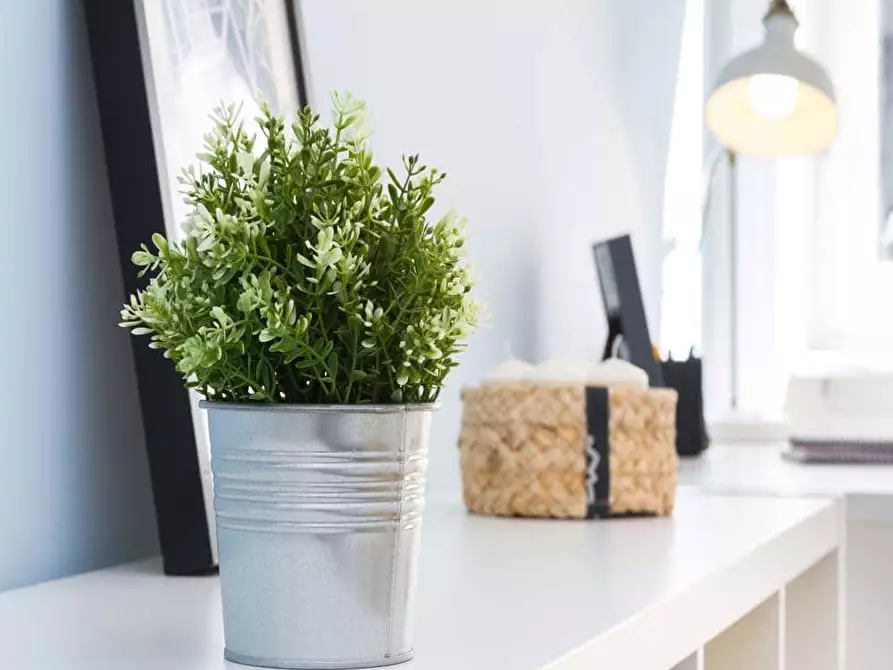 Immagine 2 di Camera in affitto  in Via Larga26 a Milano