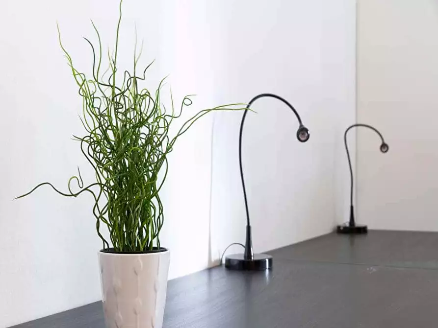 Immagine 5 di Camera in affitto  in Via Savona94 a Milano