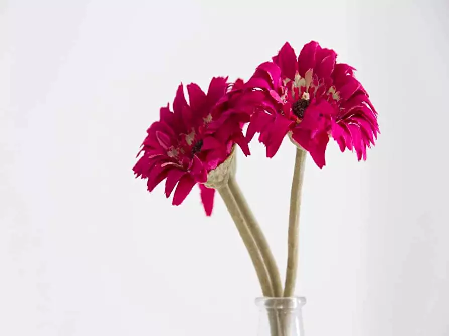 Immagine 20 di Camera in affitto  in Corso Buenos Aires9 a Milano