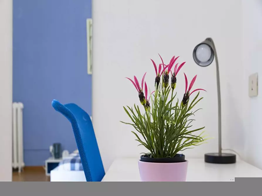 Immagine 3 di Camera in affitto  in Via Gustavo Modena35 a Milano