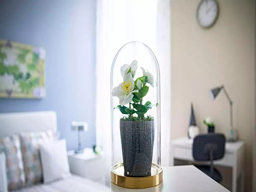 Immagine 8 di Camera in affitto  in Viale Nazario Sauro4 a Milano