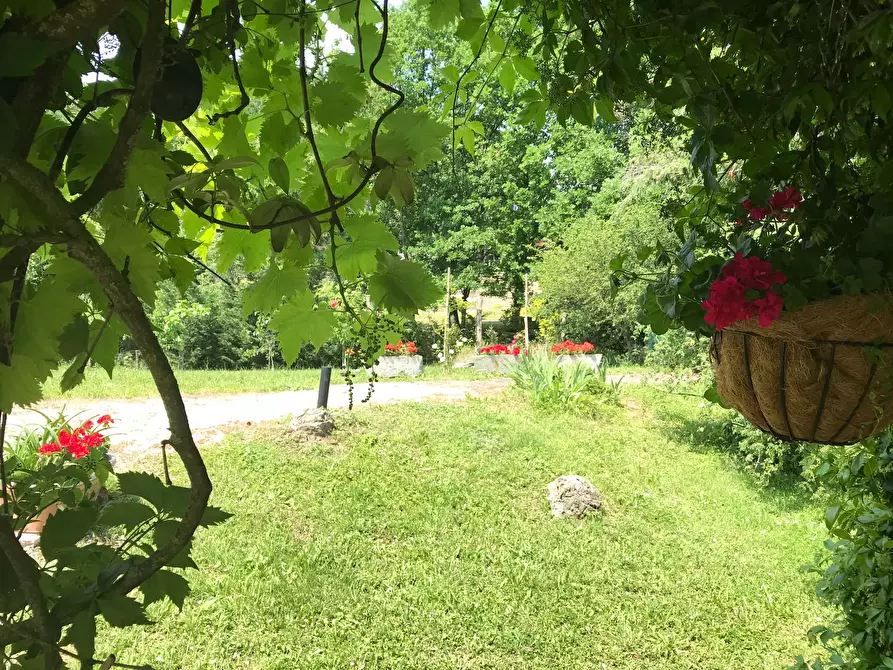 Immagine 45 di Appartamento in affitto  in Via Campagna Pulica1 a Fosdinovo