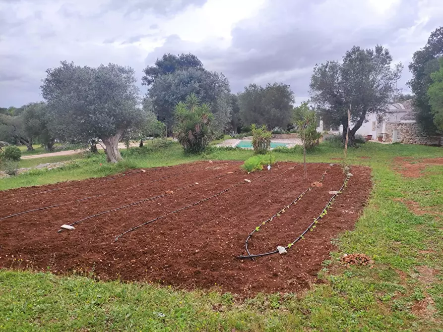 Immagine 13 di Appartamento in affitto  in Contrada Pascarosa2 a Ostuni