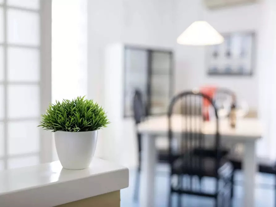 Immagine 31 di Appartamento in affitto  in Viale Casoli11 a Riccione