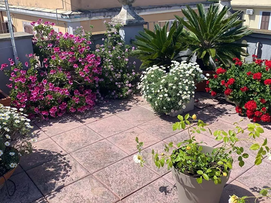 Immagine 27 di Camera in affitto  in Via Carlo Pisacane47 a Roma