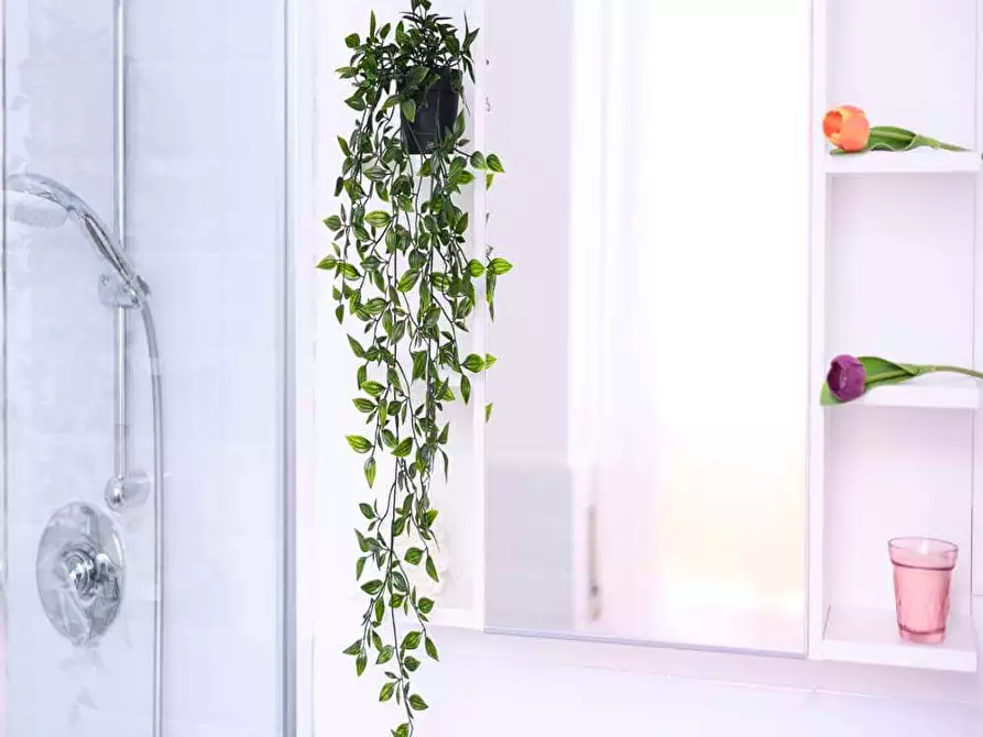 Immagine 18 di Camera in affitto  in Via Spalato2 a Milano