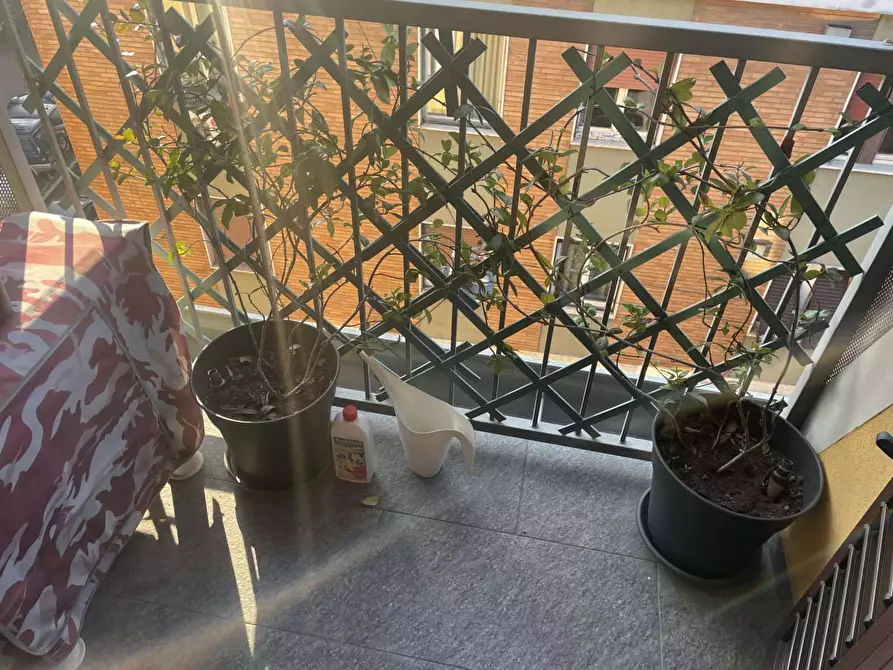Immagine 23 di Appartamento in affitto  in Via Alessandro Zanoli8 a Milano